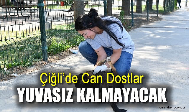 Çiğli’de Hayvanlar İçin Yeni Bir Umut Projesi!