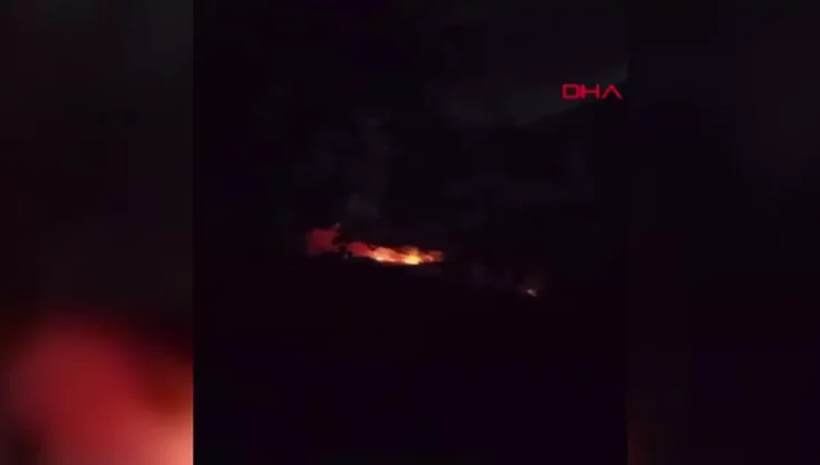 Gaziemir’de Orman Yangını: Müdahale Devam Ediyor