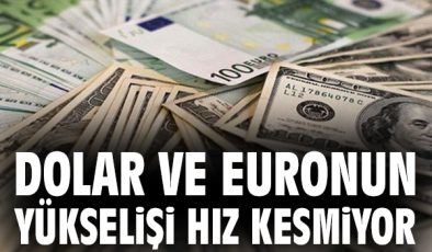 Döviz Kurları İstanbul’da Yükselmeye Devam Ediyor!