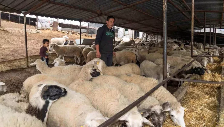 Yangın Sonrası Çiftçilere 225 Ton Yem Desteği!
