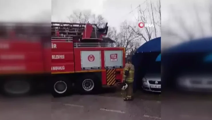 Sansarın korkuttuğu kedi, itfaiye tarafından kurtarıldı!