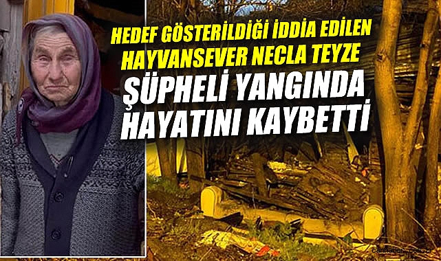 Kundaklama Şüphesi: Hayvanseverlere Devlet Çıkışı!