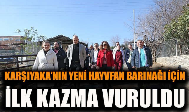 Yangın Mağduru Barınak Yeniden Hayat Buluyor
