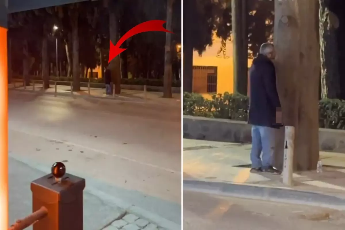 Ağaçla Sohbet Eden Adam Şaşkınlık Yarattı!