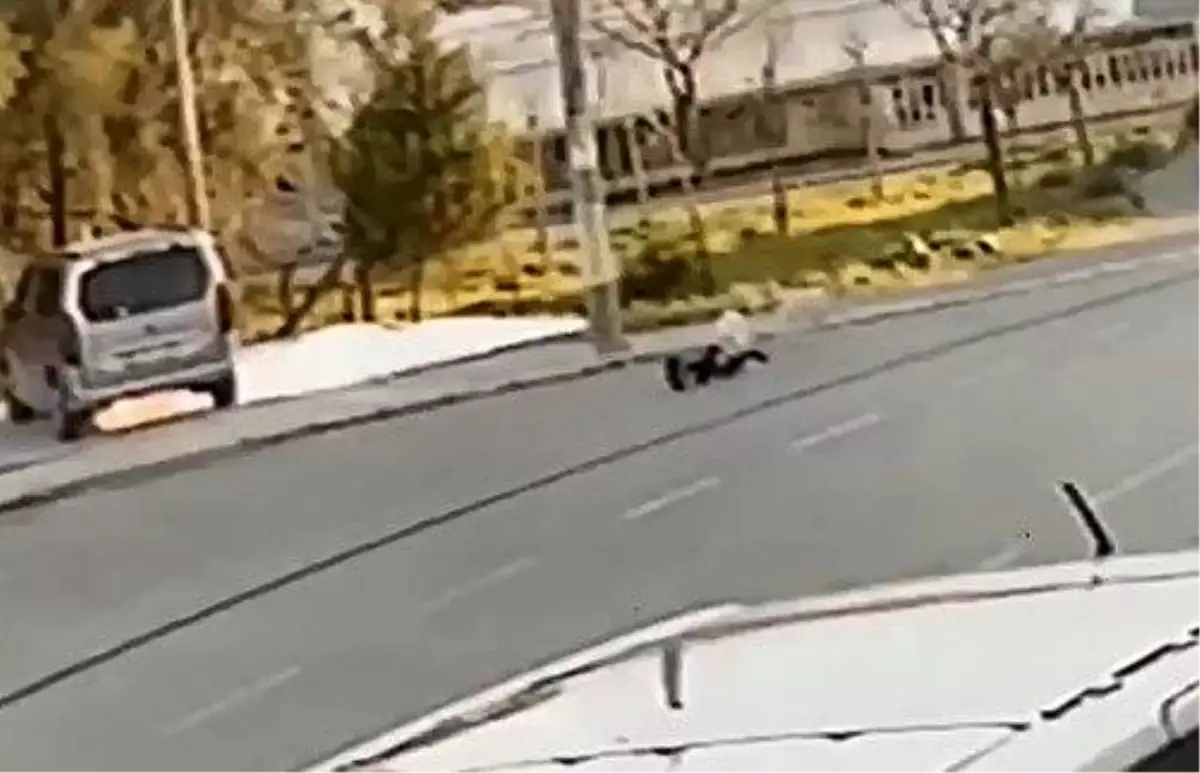 Sokak Köpeği Çocuğa Saldırdı, Anlar Kamerada!