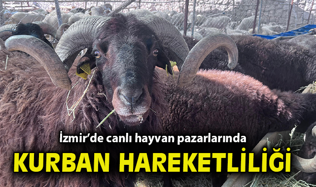 Kurban Pazarlarında Fiyatlar Yükseliyor!