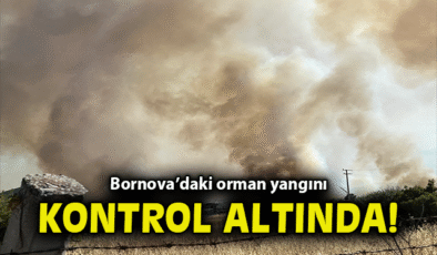 İzmir’de Orman Yangını: 3 Ev Yandı, 3 Gözaltı!