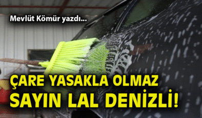 Halı Yıkama Yasak, Çeşme’de Tartışma Başladı!