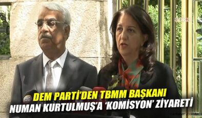 DEM Parti, Meclis Komisyonu İçin İstişare Sürecinde!