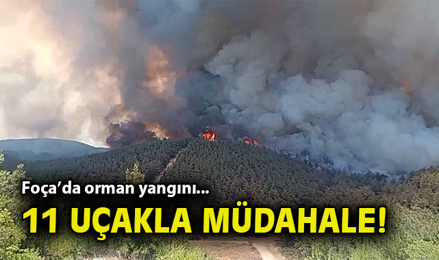 Foça’da Orman Yangını: Ekipler Müdahaleye Başladı!