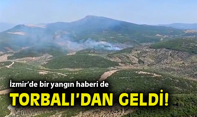 İzmir’de Orman Yangınına Hava ve Kara Mücadelesi