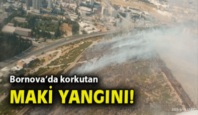 Zafer Mahallesi’nde Yangın Çıkışı, Mücadele Devam Ediyor