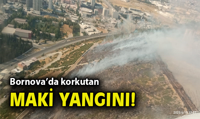Zafer Mahallesi’nde Yangın Çıkışı, Mücadele Devam Ediyor