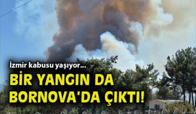 Bornova’da Ziraat Arazisinde Yangın Çıktı!