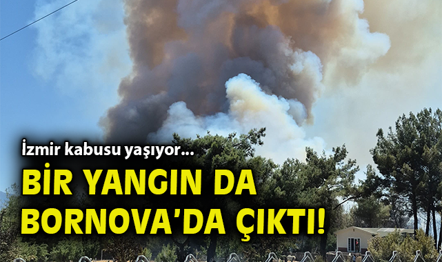 Bornova’da Ziraat Arazisinde Yangın Çıktı!