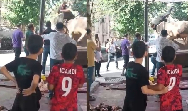 Boğa Saldırısına Uğrayan Kasap Kurtuldu!