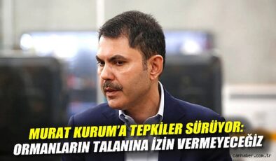 Orman Talanı Uyarısı: 2B Açıklamaları Tartışmalı