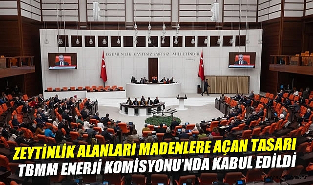 Zeytinlik Alanları Enerjiye Açıldı! Tartışmalar Sürdü.