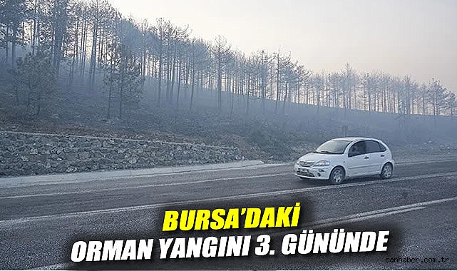Bursa’daki Orman Yangını 3. Gününde Sürüyor!