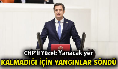 Deniz Yücel’den Orman Yangınlarına Sert Eleştiriler!