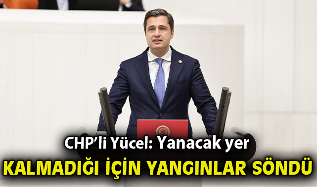 Deniz Yücel’den Orman Yangınlarına Sert Eleştiriler!