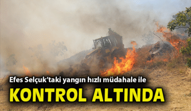 Efes Selçuk’ta Yangın, Müdahale ile Kontrol Altına Alındı