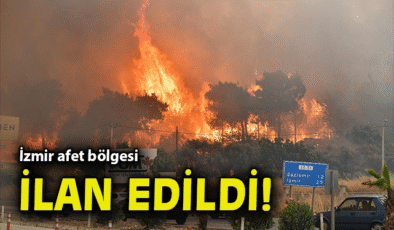 Orman Yangınları: Bilecik ve İzmir Afet Bölgesi!
