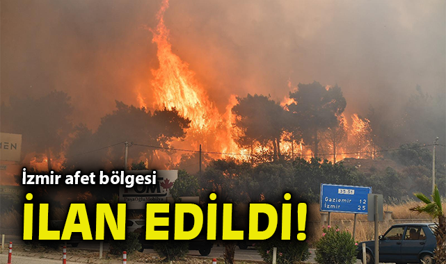 Orman Yangınları: Bilecik ve İzmir Afet Bölgesi!