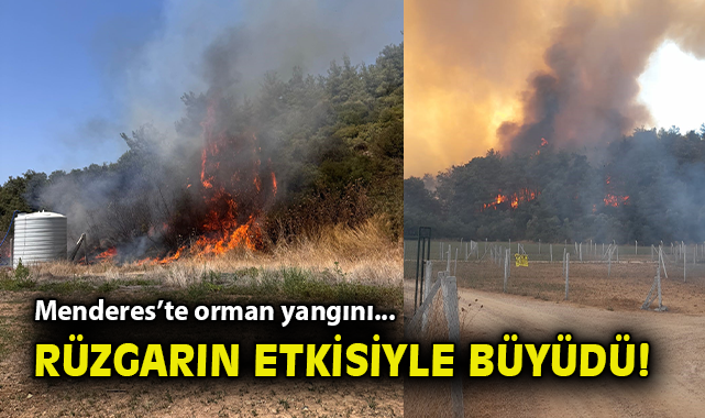 İzmir’de Dev Yangın: Havadan ve Karadan Mücadele!