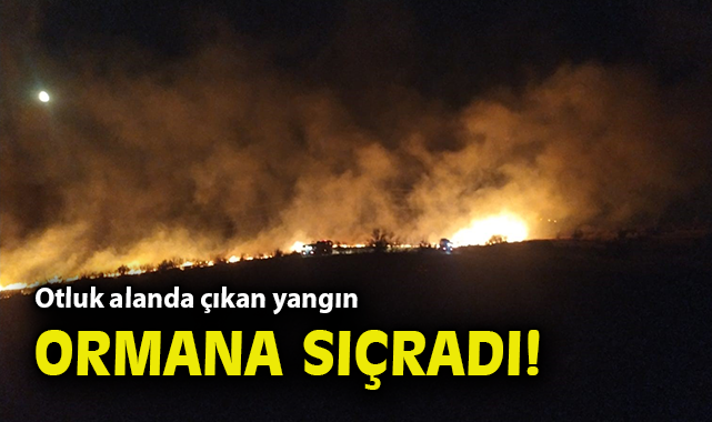 Çiğdem Canpolat: İzmir’de Yangın Kontrol Altına Alındı
