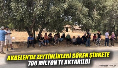 Yüz Milyonlarca Liralık Teşvik, Zeytinlikleri Tehdit Ediyor!