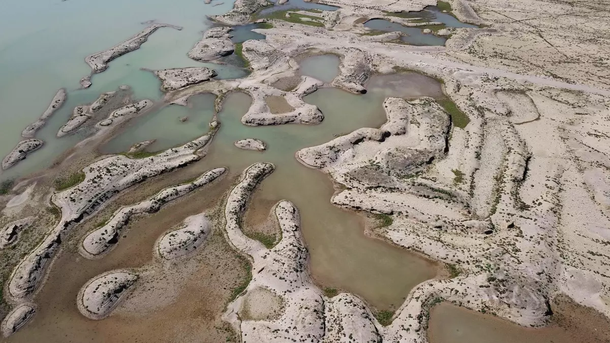 Kuraklık Gıda Güvenliğini Tehdit Ediyor!