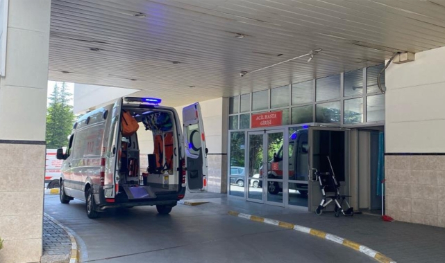 Bolu’da Deli Dana Hastalığı Tespit Edildi!