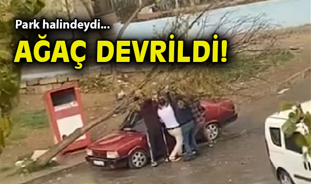 Ağaç Devrildi, Park Halindeki Araç Hasar Gördü!