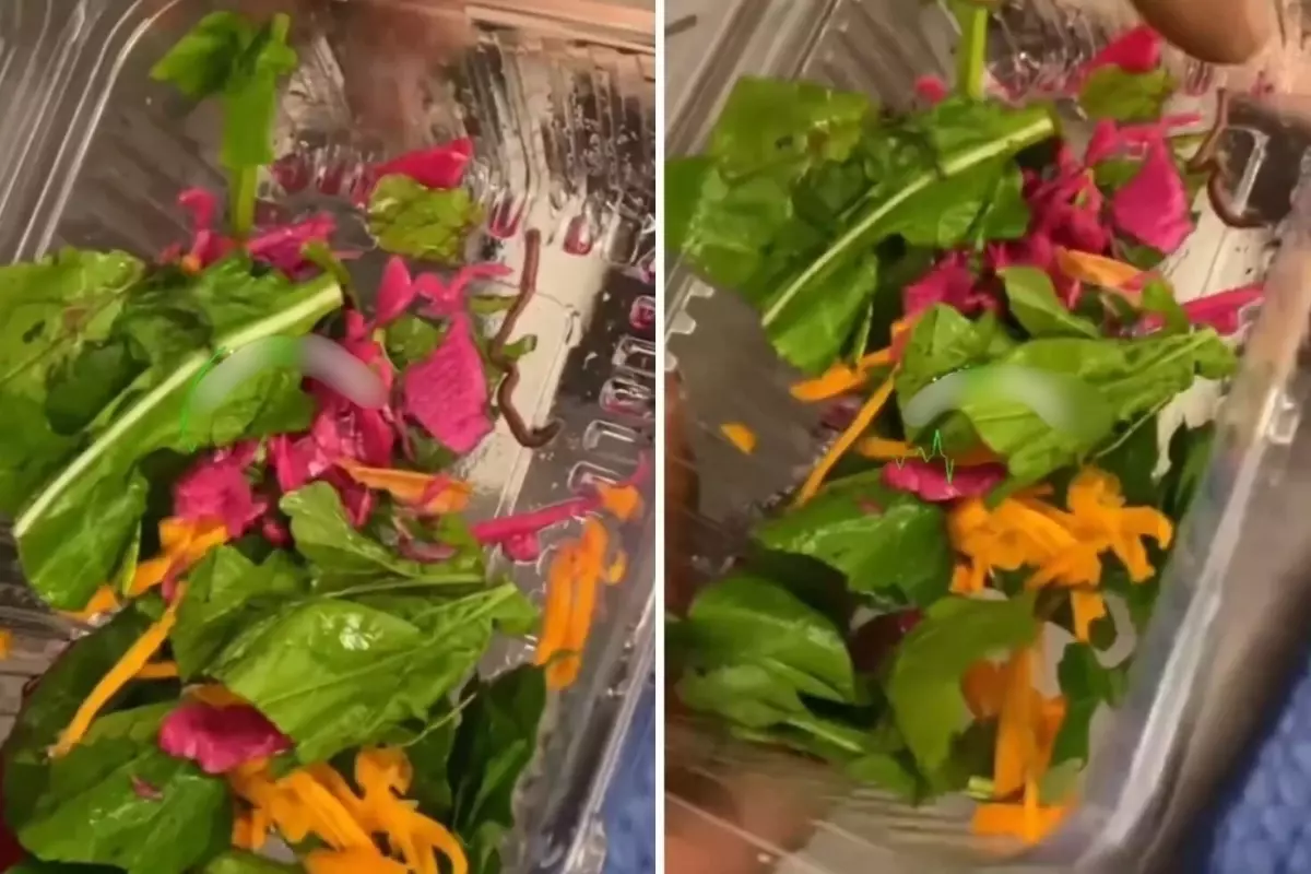 Pidecide Şok: Salatada Korkutucu Sürpriz!