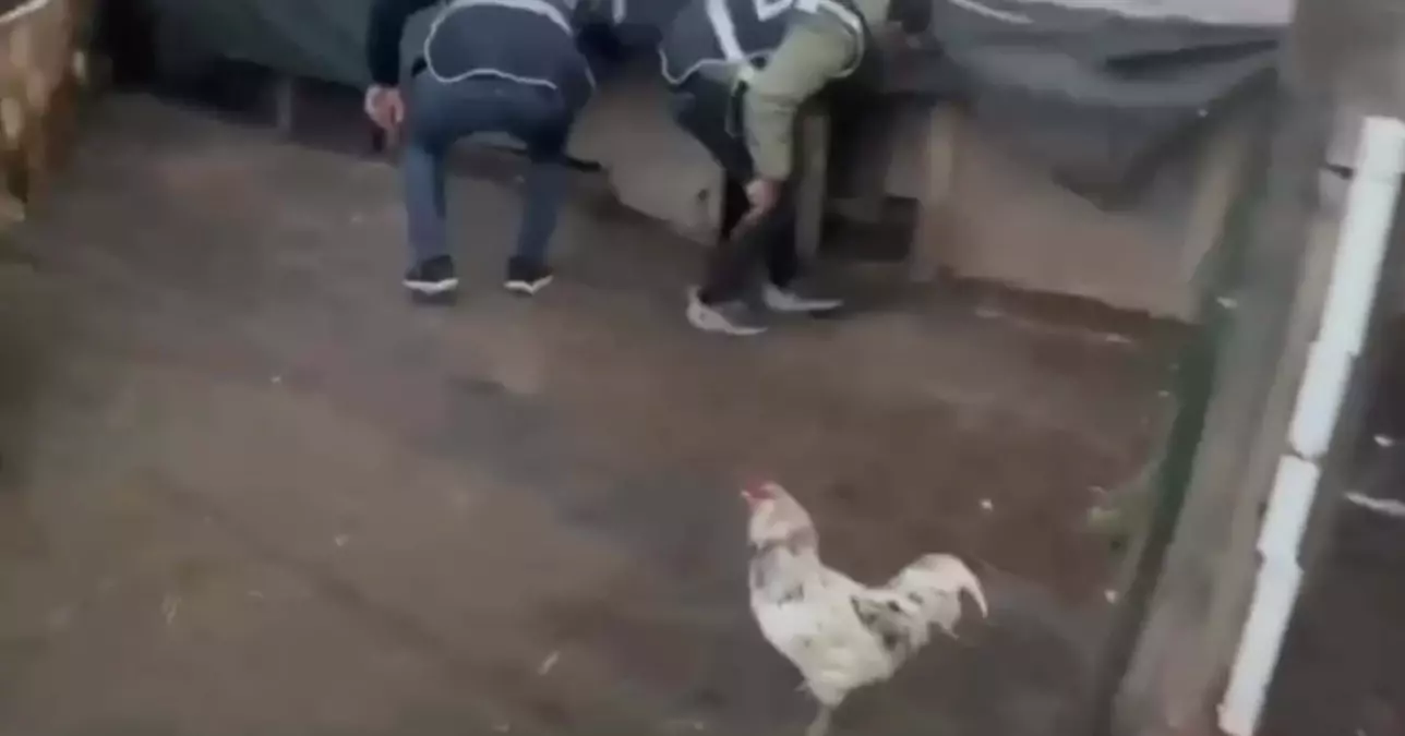 Kümeste Öksüren Hırsız, 44 Yıl Cezadan Kaçamadı!