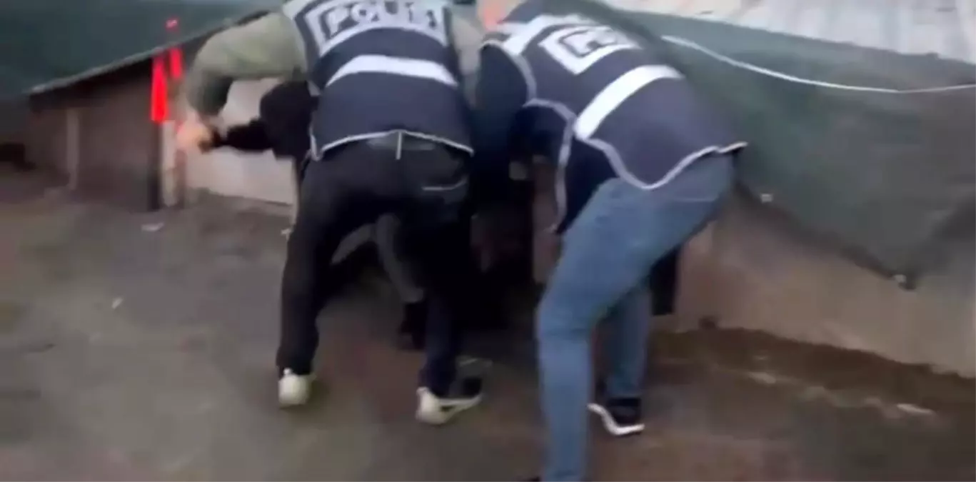 Tavuk Kümesinde Saklanan Yağmacı Yakalandı!