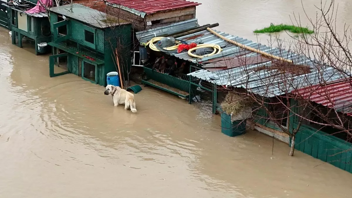 İzmir’de Şiddetli Yağış: Ekipler Seferber Oldu!