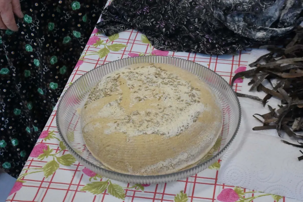 Gençler Deniz Çayırı Tohumlarıyla Gıda Arıyor