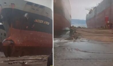 Dev Geminin Karaya Oturması Paniğe Neden Oldu