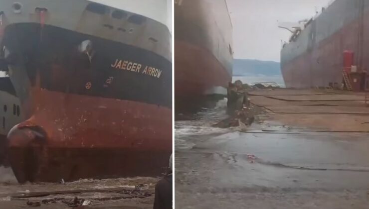 Dev Geminin Karaya Oturması Paniğe Neden Oldu