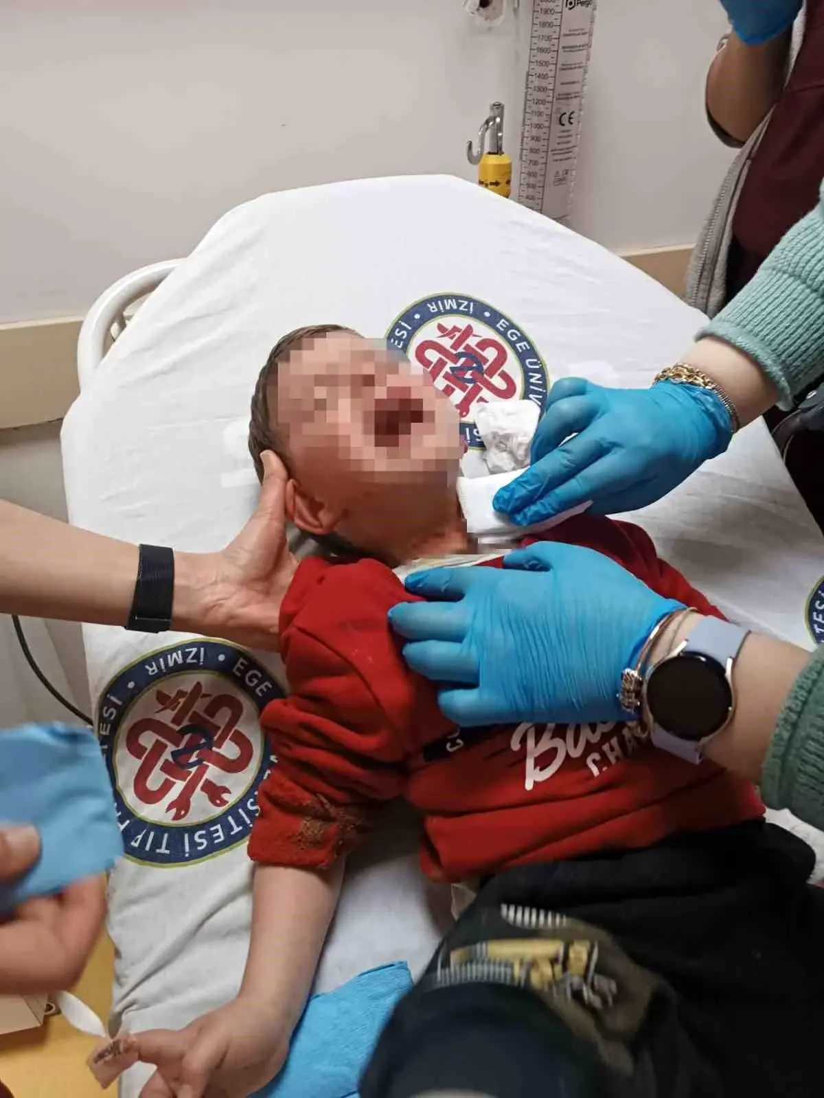 2 Yaşındaki Çocuğa Bıçaklı Saldırı! Zanlı Yakalandı